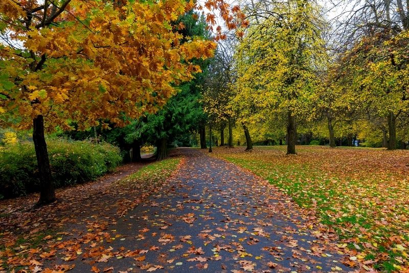 Laurelhurst Portland park in the fall, Where to live when moving to Portland Oregon