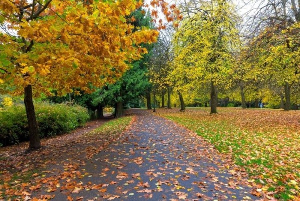 Laurelhurst park in autumn, Neighborhoods of Northeast Portland Oregon