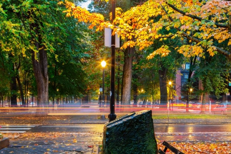 Rain in Portland on a fall street, Should I move to Portland Oregon