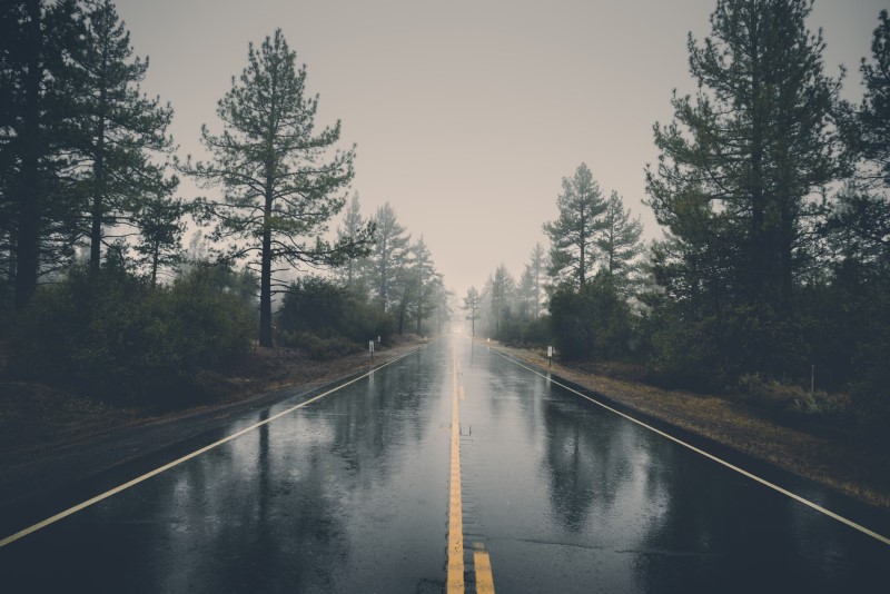 image of wet road with trees, does it rain in portland every single day, 5 worst things about living in portland OR